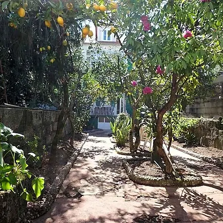 Casa Familiar Do 山林小屋 *